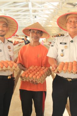 Lahan Terbatas Tak Halangi Lapas Pekanbaru Produksi 800 Telur per Hari