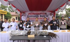 Polres Langkat Musnahkan Barang Bukti Narkotika Sabu, Pil Extasi dan Ganja