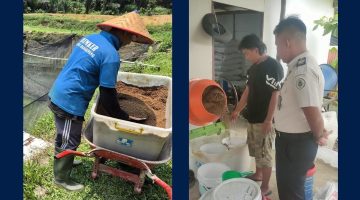 DARI KOLAM, TUMBUH KETERAMPILAN DAN KEMANDIRIAN