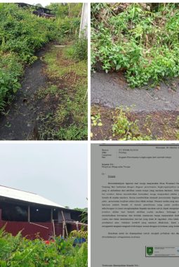Di Minta Kepada Instansi Yang terkait Dinas Perijinan Dan industri Juga Dinas DLH Kab Bengkalis”,    Agar Turun Kelapangan Cek Pengusaha Tempe Desa Wonosari
