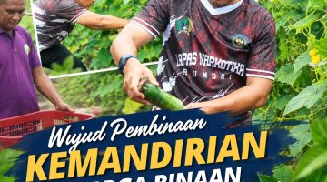 WUJUDKAN PEMBINAAN KEMANDIRIAN WARGA BINAAN LAPAS NARKOTIKA RUMBAI SUKSES PANEN TIMUN
